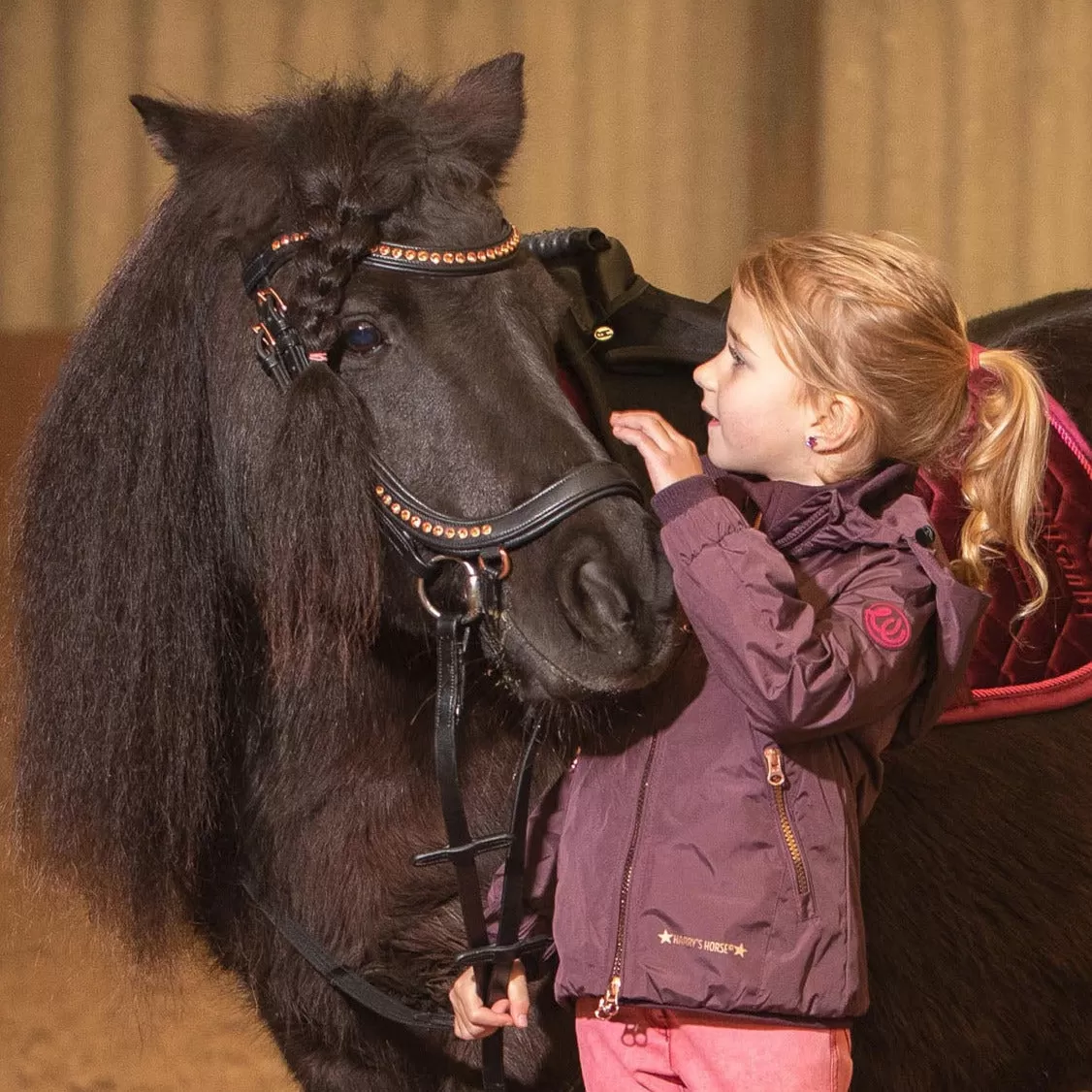 Veste coupe-vent imperméable Harry's Horse Tolga